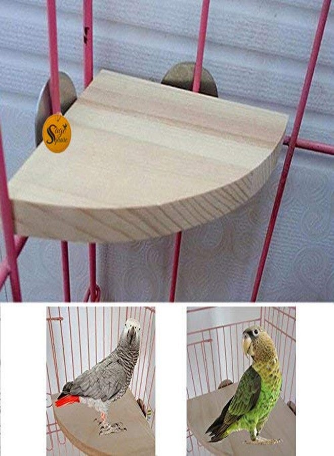 Sage Square 6 Inches Wooden Chewing Toy for Bird for Cockatiel African Grey Conure Rat Mouse Hamster Parrot. - Image 3